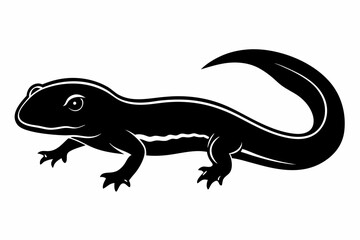 Fototapeta premium rough skinned newt sihouette black vector 