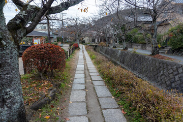 Kyoto Trail and surrounding area scenery