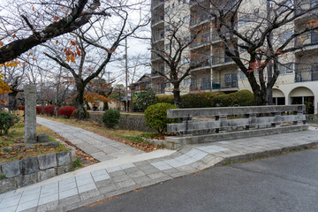 Kyoto Trail and surrounding area scenery