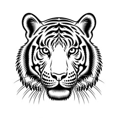 tiger head vector illustration coloring page