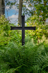 Black Iron Cross in Fern-Filled Forest Cemetery – Symbol of Hidden Peace and Sacred Memory