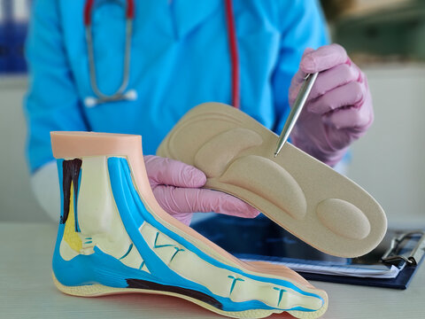 Detailed examination of a foot model by a medical professional in a clinical setting concept