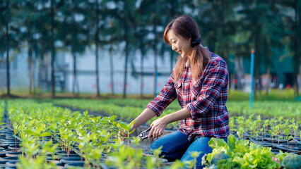 Young Asian woman pruning vegetable seedlings in pots at organic farm, smiling in checkered shirt, promoting eco-friendly gardening and healthy lifestyle