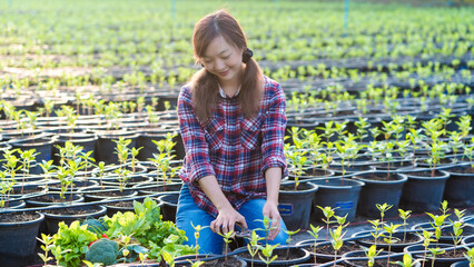 Young female farmer trimming potted plants in sunlight beside a crate of fresh organic vegetables in a thriving green farm nursery for healthy agriculture