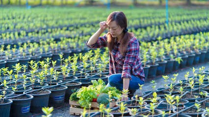 Concerned young female farmer checking fresh organic vegetables in the garden, surrounded by seedlings, sustainable agriculture and healthy food concept