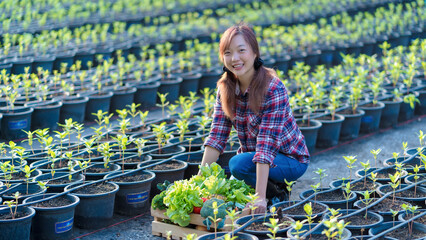 Smiling Asian woman farmer harvesting organic vegetables in the garden, surrounded by green seedlings in pots, sustainable farming and healthy food concept