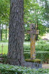 Stone and Iron Crosses Beside Tree Trunk – Timeless Symbol of Memory and Nature in Cemetery