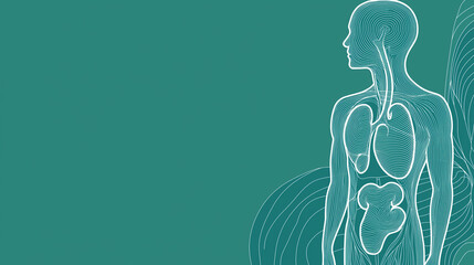 Organ Donation Week Banner Featuring Dark Teal Background, Minimalist Line-Art Silhouette of Human Torso with Visible Heart and Kidneys Icons on Right Side, Designed for Medical Awareness Purposes

