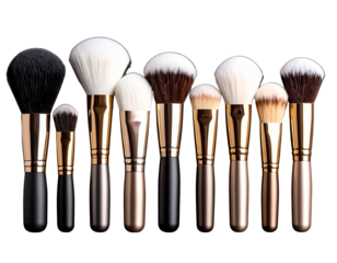 Row of makeup brushes with a variety of colors and sizes