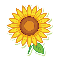 sunflower sticker on white background