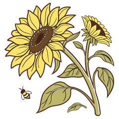 sunflower sticker on white background