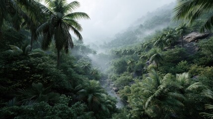 Lush tropical rainforest valley scene.