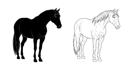Black and Line Art Horse Illustrations: Side Profile, Standing Pose