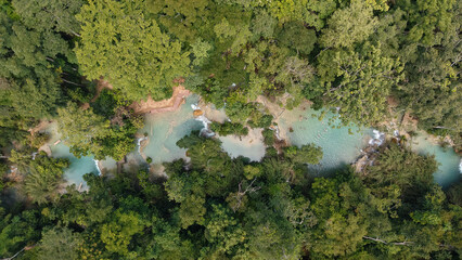 A lush green forest with a river running through it