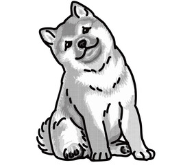 柴犬　shiba　犬のイラスト　白黒　仔犬