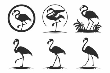Obraz premium set of birds