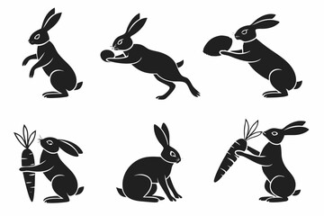 set of rabbits