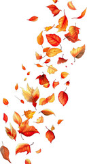Falling autumn leaves in vibrant colors