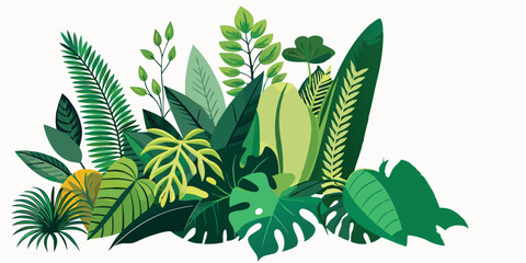Tropical leaves foliage plant jungle bush floral arrangement nature backdrop isolated on white background