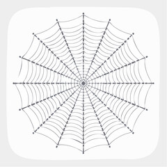 Obraz premium vector Network of interconnected shapes inspired by the structure of spider silk