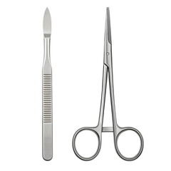 Two stainless steel surgical tools: a scalpel with a pointed blade and a pair of fine surgical scissors with looped handles.