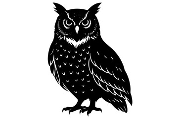 owl on white background