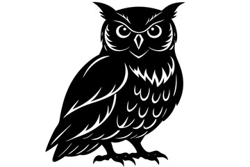 owl on white background