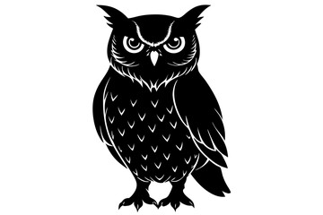 owl on white background