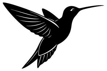 vector illustration of a bird