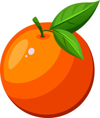 vector illustration of an orange