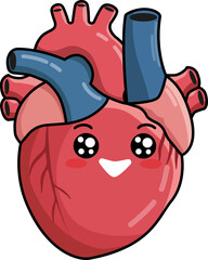 Cute human anatomical heart character with a happy face. Healthy organ concept for health education and medical awareness