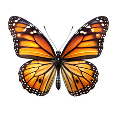 Fototapeta premium Monarch Butterfly with Orange and Black Wings Isolated on a White Background A I G E N E R A T E D insect