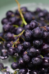 Close-up of Ripe Black Grapes 