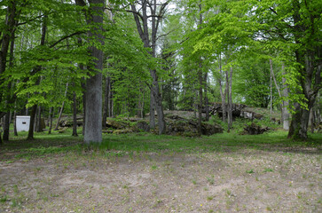 remains of buildings, trees, the concrete town of bunkers Wolf's Lair in Gierłoż near Kętrzyn