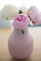 Beautiful pink peony flower bouquet on a pink pot interior decoration scene