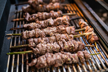 Grilled Meat Skewers on Bay Laurel Sticks – Rustic BBQ Dish with Herbal Flavor