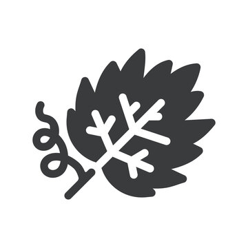 Grape leaf Icon