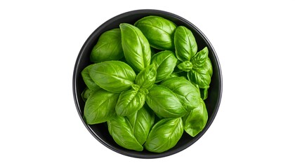 Fresh basil leaves in a black bowl with top view, and isolated on white background.