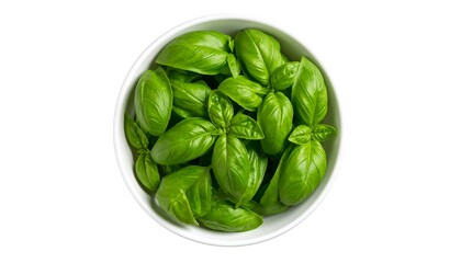 Fresh basil leaves in white bowl with culinary herb, isolated on white, and top view.
