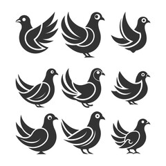 Pigeon Silhouettes, Dove, Vector Bird Icon. 
