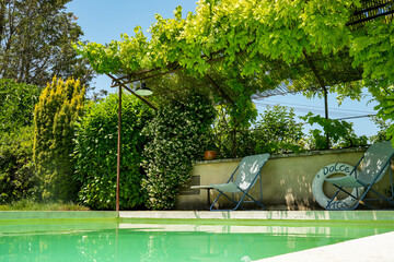 View of a swimming pool in a lush garden landscape. A pergola with climbing plants, under which two...