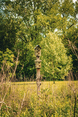Fototapeta premium Birdhouse