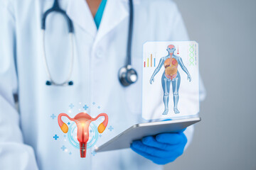 Doctor using digital tablet to diagnose female reproductive system with uterus hologram and medical...