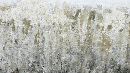 Decay Wall Texture: A gritty, textural portrayal of a weathered and deteriorating wall, exhibiting signs of wear and environmental impact, perfect for design or illustrating aged surfaces.