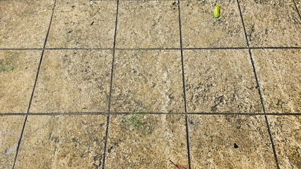 A desolate tiled floor with scattered debris, An overhead view of a yellow leaves resting peacefully amidst the rugged texture of a weathered concrete surface, set against a grid pattern.