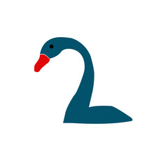 black swan isolated on white background