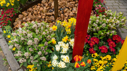 Vibrant Spring Garden Bed with Flowers and Water Feature