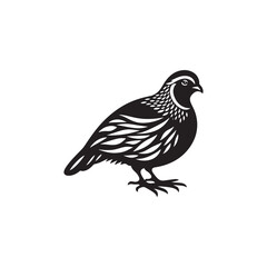 Elegant Quail Vector Silhouette Design – Bold Wildlife Icon Featuring Upright Pose and Distinct Feather Plume, Perfect for Countryside Artwork, Farm Logos, and Woodland Illustration Styles


