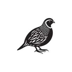 Graceful Quail Silhouette Vector Art – Small Game Bird with Curved Topknot and Rounded Body, Minimalist Black Outline for Rustic Decor, Hunting Themes, and Nature Graphics

