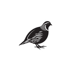 Elegant Quail Vector Silhouette Design – Bold Wildlife Icon Featuring Upright Pose and Distinct Feather Plume, Perfect for Countryside Artwork, Farm Logos, and Woodland Illustration Styles

